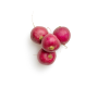 radishes