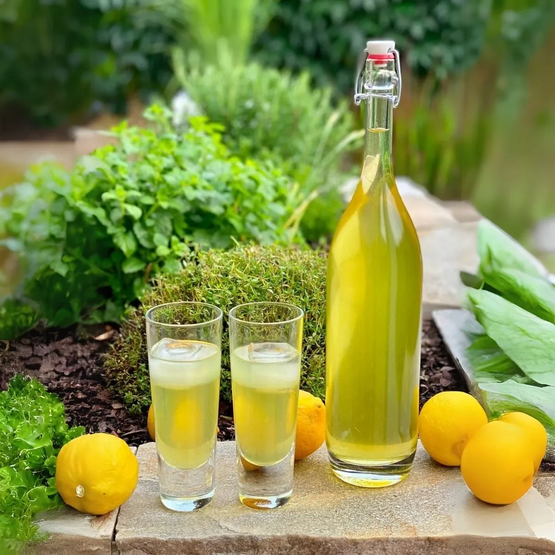 traditional italian limoncello recipe authentic italian drink italy culinary cuisine