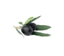 black olive