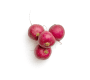 radish